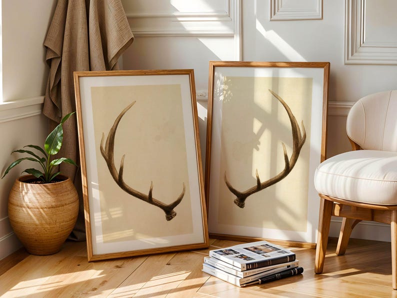 May include: Two framed prints of a brown antler on a beige background. The frames are made of wood and have a natural finish. The prints are displayed on a wooden floor with a stack of books in front of them.