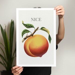 May include: A framed print featuring a vintage illustration of a ripe peach with green leaves and the word "NICE" in gray text at the top. The peach is a mix of yellow and red hues.