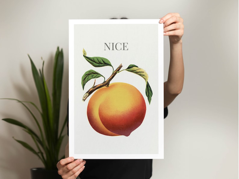 May include: A framed print featuring a vintage illustration of a ripe peach with green leaves and the word "NICE" in gray text at the top. The peach is a mix of yellow and red hues.