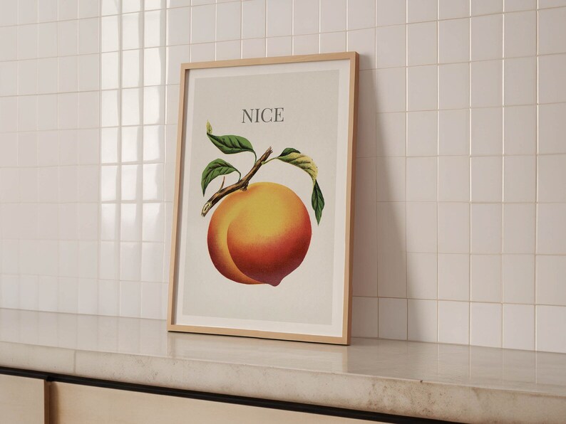 May include: A framed print featuring a vintage illustration of a ripe peach with green leaves and the word "NICE" above it. The peach is a vibrant mix of yellow and red hues, set against a neutral background.