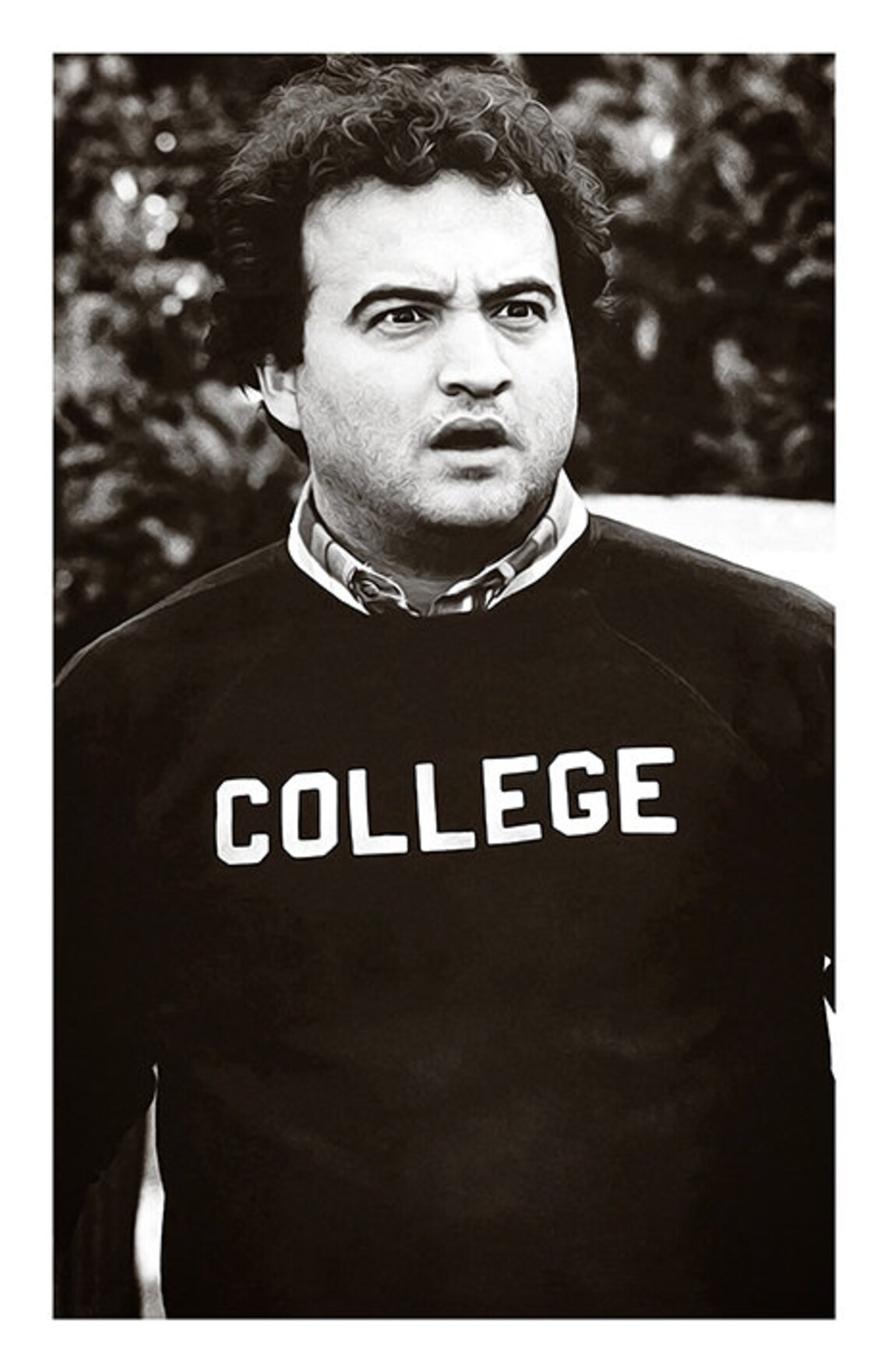 Animal House Movie Poster College Poster Print 70's Etsy