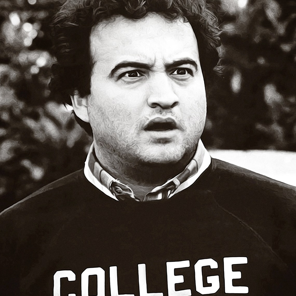 Animal House Movie Poster College Poster Print 70's Etsy