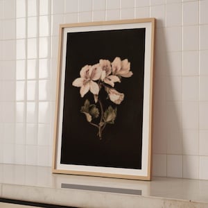 Op de afbeelding: Een ingelijste print van een witte bloem met een donkere achtergrond. De bloem is scherp en de achtergrond is wazig.