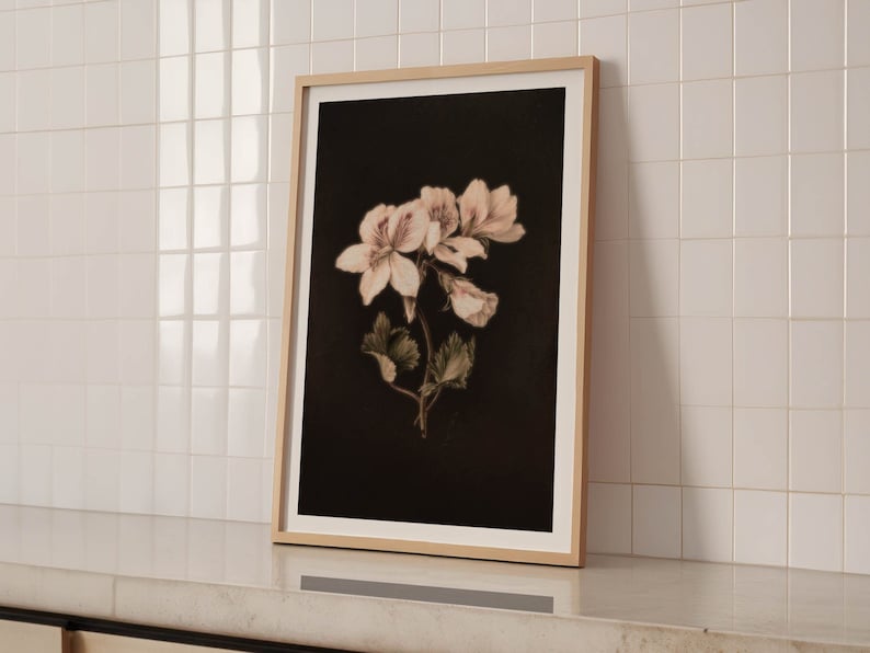 Op de afbeelding: Een ingelijste print van een witte bloem met een donkere achtergrond. De bloem is scherp en de achtergrond is wazig.