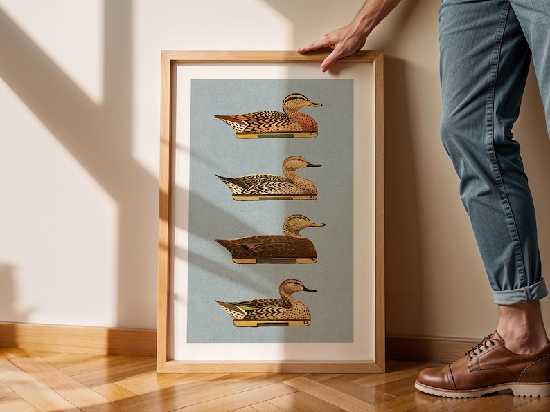 Pu&ograve; includere: Una stampa incorniciata di quattro illustrazioni vintage di anatre su uno sfondo blu chiaro. Le anatre sono raffigurate di profilo, con le ali spiegate. La stampa &egrave; in una cornice di legno.