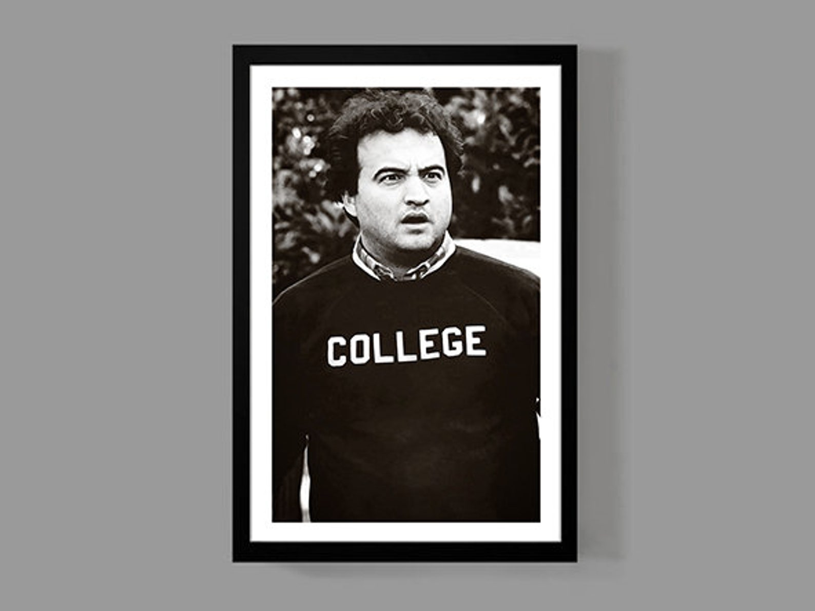 Animal House Movie Poster College Poster Print 70's Etsy