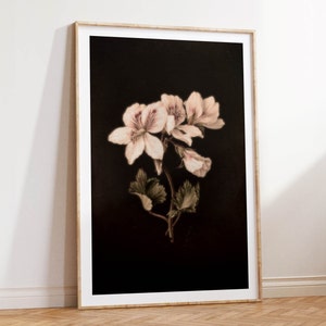 Op de afbeelding: Een ingelijste print van een delicate roze bloem met groene bladeren op een zwarte achtergrond.