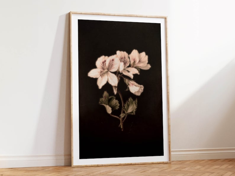 Op de afbeelding: Een ingelijste print van een delicate roze bloem met groene bladeren op een zwarte achtergrond.