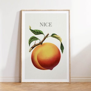 May include: A framed art print featuring a vintage illustration of a ripe peach with green leaves and the word "NICE" in a serif font. The peach is a blend of yellow and red hues, set against a neutral background.