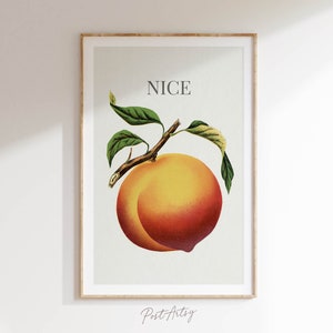 Bonita decoración divertida para el baño con diseño de melocotón, arte de pared para el baño, impresión de baño, humor sobre el inodoro, póster retro para el baño con bonito trasero, regalo divertido