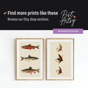 May include: Two framed vintage prints. One shows three illustrations of fish with red and silver colouring. The other print displays three fishing flies with brown and black feathers. The prints are displayed on a white wall.