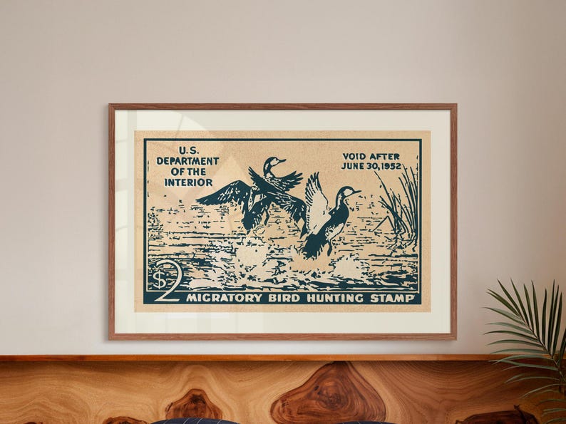 Pode incluir: Um cartaz de estilo vintage para um selo de ca&ccedil;a a aves migrat&oacute;rias. O cartaz apresenta uma ilustra&ccedil;&atilde;o azul e branca de tr&ecirc;s patos voando sobre um corpo de &aacute;gua. O texto no cartaz diz "U.S. Department of the Interior", "Void After June 30, 1952", e "$2 Selo de ca&ccedil;a a aves migrat&oacute;rias".