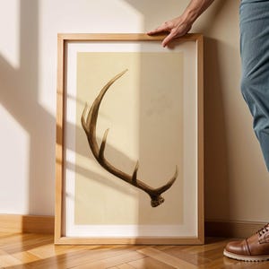 May include: A framed print of a brown deer antler on a beige background. The frame is made of light wood.