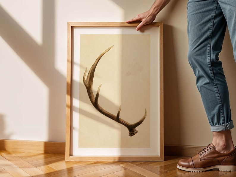 May include: A framed print of a brown deer antler on a beige background. The frame is made of light wood.