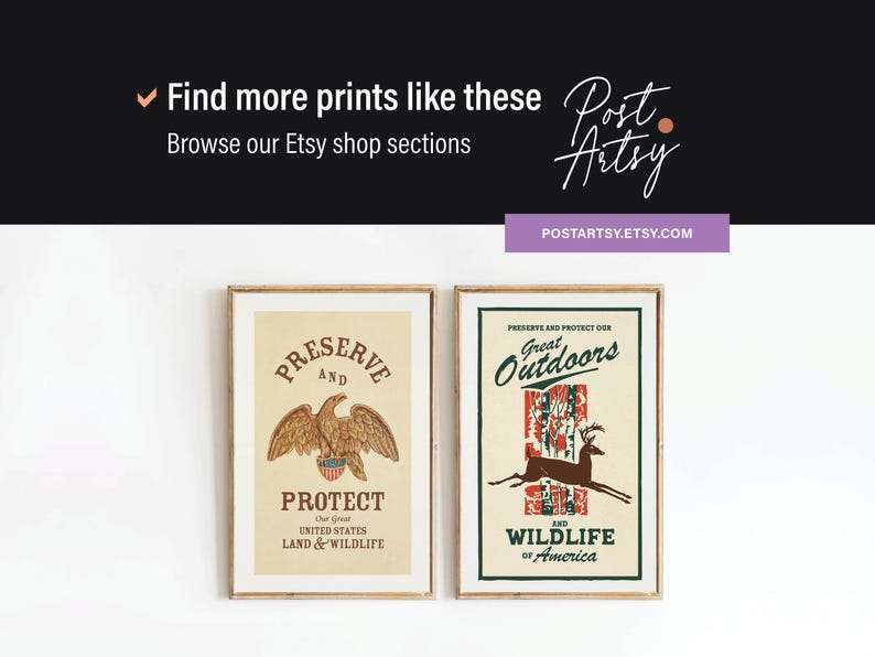 May include: Two framed vintage-style prints. The left print features an eagle with the text "Preserve and Protect Our United States Land & Wildlife." The right print shows a deer with the text "Great Outdoors and Wildlife of America."