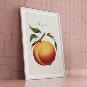 May include: A framed print featuring a vintage illustration of a peach with green leaves and the word "NICE" at the top. The peach is a mix of yellow, orange, and red hues, set against a cream background.