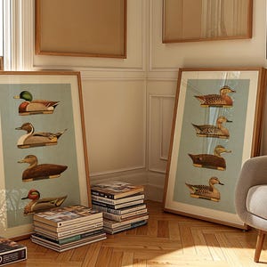 Pu&ograve; includere: Due stampe incorniciate di illustrazioni vintage di anatre su sfondo blu chiaro. Le stampe sono in cornici di legno e sono appese a un muro. Un mucchio di libri &egrave; in primo piano.