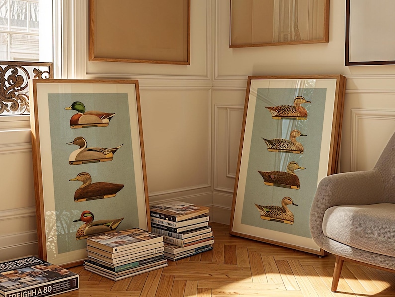 Pu&ograve; includere: Due stampe incorniciate di illustrazioni vintage di anatre su sfondo blu chiaro. Le stampe sono in cornici di legno e sono appese a un muro. Un mucchio di libri &egrave; in primo piano.