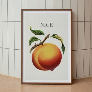 May include: A framed print featuring a vintage illustration of a ripe peach with green leaves and the word "NICE" at the top. The peach is a blend of yellow and red hues, set against a light background.