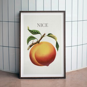 May include: Framed art print featuring a vintage illustration of a ripe peach with green leaves and the word "NICE" above it. The peach is a vibrant mix of yellow, orange, and red hues, set against a white background.