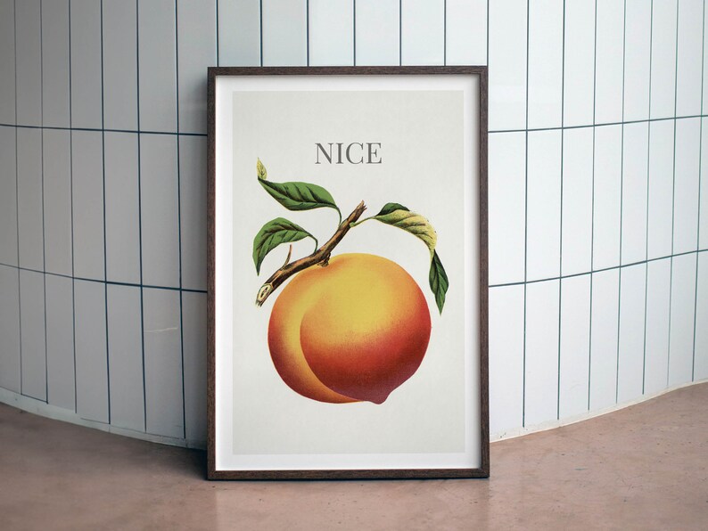 May include: Framed art print featuring a vintage illustration of a ripe peach with green leaves and the word "NICE" above it. The peach is a vibrant mix of yellow, orange, and red hues, set against a white background.