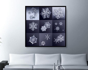 Large Wall Art Print, Macro, a collection of 9 unique snowflakes