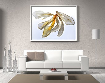 Large Wall Art Print, Macro, Photo Print, White tulip petals