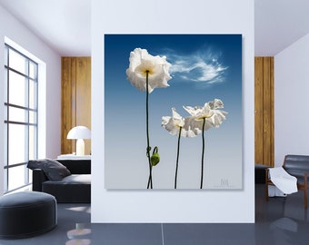 Großes Wandbild, Makro, Weiße Mohnblumen
