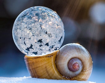 Large Wall Art Print, Macro, Frozen bubble coming out of a shell