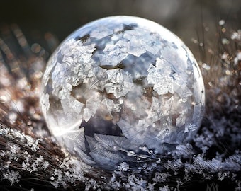 Large Wall Art Print, Macro, Frozen bubble on fur