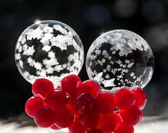Large Wall Art Print, Macro, Frozen bubbles on red berries