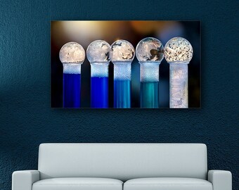 Large Wall Art Print, Macro, Frozen bubbles on 5 test tubes