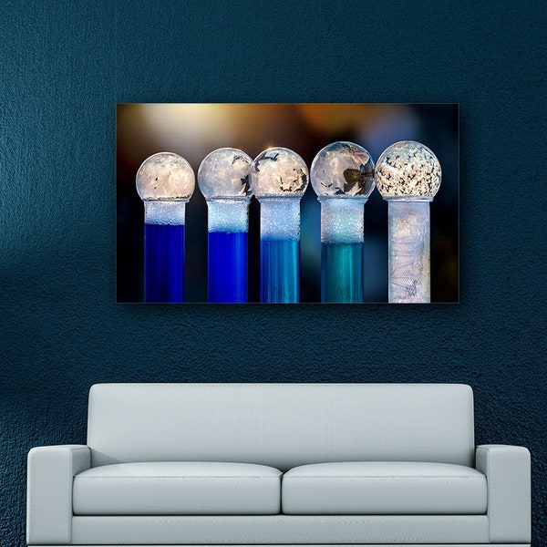 Large Wall Art Print, Macro, Frozen bubbles on 5 test tubes