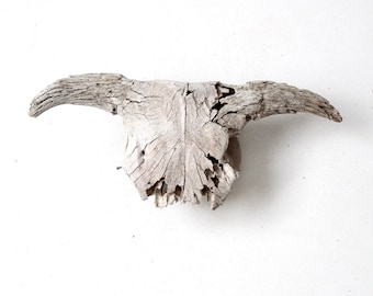 vintage found cow skull