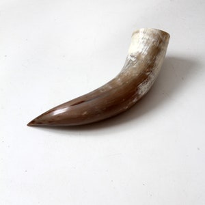 vintage großes poliertes Horn