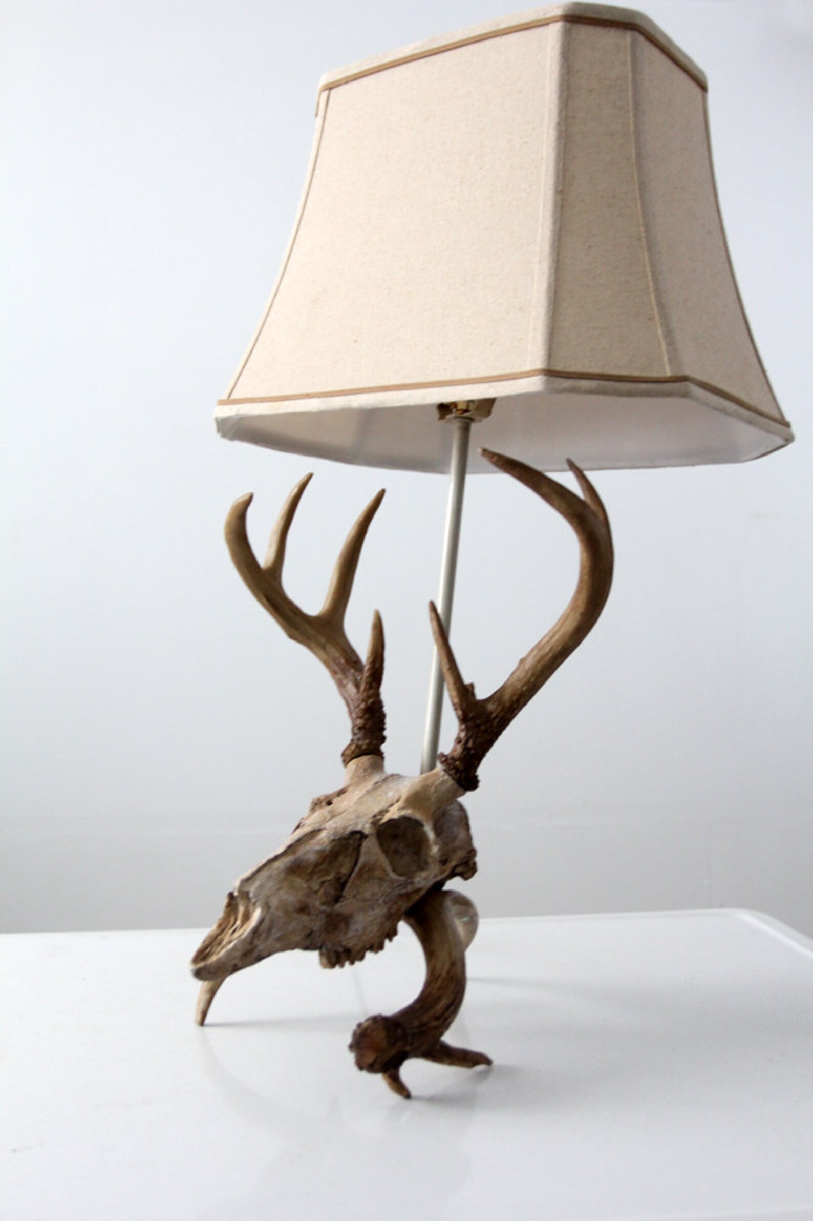 Vintage Deer Skull Lamp, Antler Table Lamp Etsy