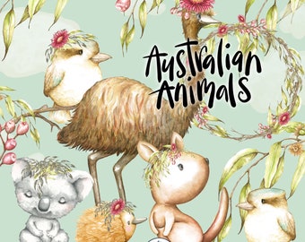 Australian animals clipart watercolor, Kangaroo, Koala, Emu, Kookaburra, echidna, Mother and baby, watercolor, nursery clipart, planner