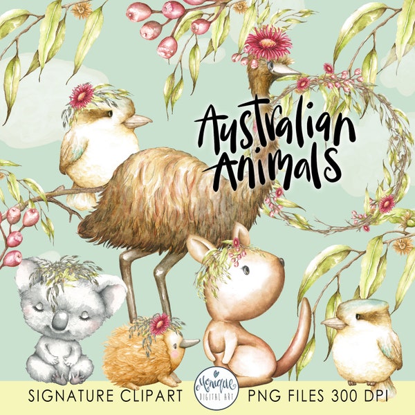 Australian animals clipart watercolor, Kangaroo, Koala, Emu, Kookaburra, echidna, Mother and baby, watercolor, nursery clipart, planner