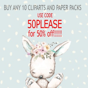May include: A cute cartoon bunny wearing a floral crown with the text "BUY ANY 10 CLIPARTS AND PAPER PACKS USE CODE 50PLEASE for 50% off!!!!" on a light blue background with white dots.