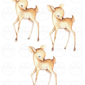 May include: Three watercolor illustrations of a fawn, each with a different pose. The fawns are brown with white spots and have large, expressive eyes. They are all looking down and appear to be shy or playful.