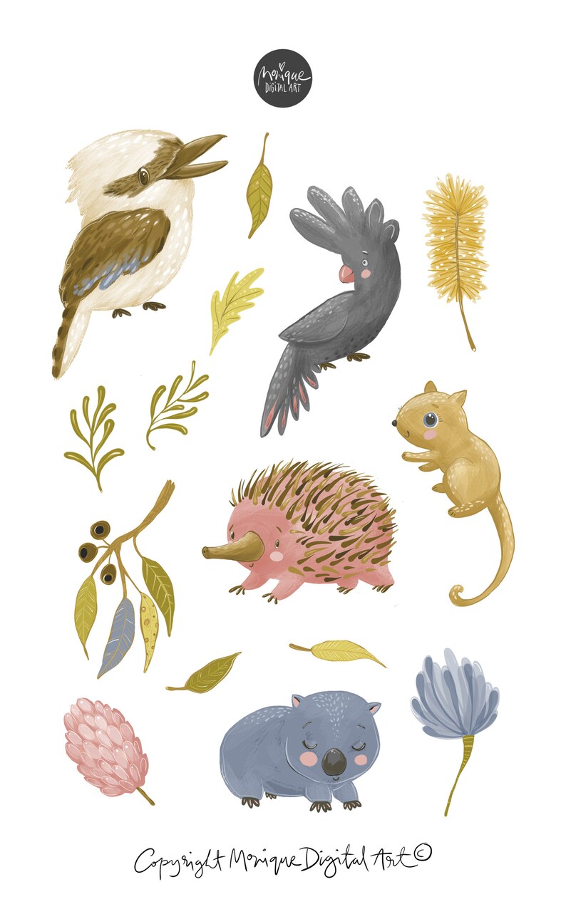 Puede incluir: Un conjunto de ilustraciones coloridas que representan animales australianos, incluyendo un kookaburra, un equidna, un wombat y un cacat&uacute;a negro. Las ilustraciones est&aacute;n sobre un fondo blanco e incluyen varios follajes y flores.