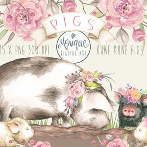 Pig Clipart,Pigs Watercolor,Cute Pigs,Kune Kune Pigs,hand painted,planner stickers, graphics resources,cliparts,planner pages,Nursery Prints
