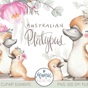 Australian Platypus Clipart Watercolor flower eucalyptus crown nursery clipart flower wreath planner art hand painted baby platypus