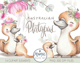 Imágenes prediseñadas de ornitorrinco australiano, acuarela, corona de flores de eucalipto, imágenes prediseñadas para guardería, corona de flores, planificador, arte, ornitorrinco bebé pintado a mano