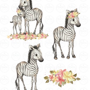 K&ouml;nnte beinhalten: Drei Aquarell-Illustrationen von Zebras mit schwarzen und wei&szlig;en Streifen. Die Zebras stehen auf einem wei&szlig;en Hintergrund mit rosa und gelben Blumen. Ein Zebra tr&auml;gt eine Blumenkrone.