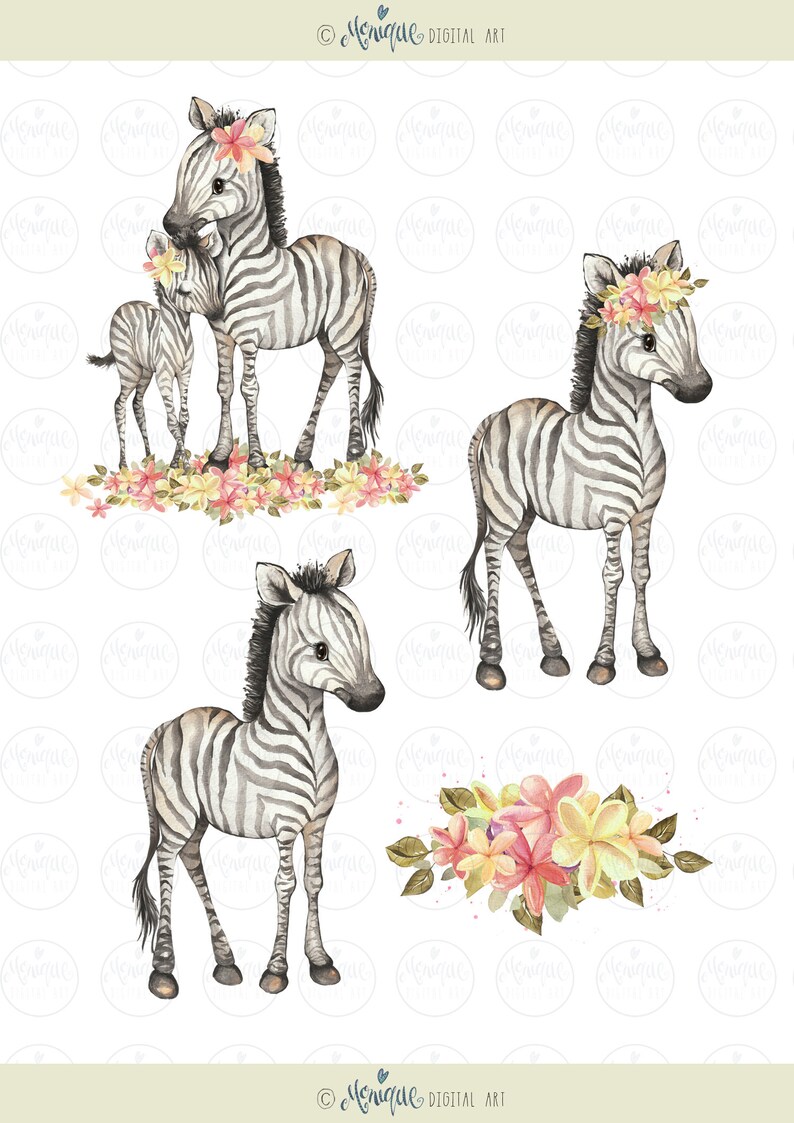 K&ouml;nnte beinhalten: Drei Aquarell-Illustrationen von Zebras mit schwarzen und wei&szlig;en Streifen. Die Zebras stehen auf einem wei&szlig;en Hintergrund mit rosa und gelben Blumen. Ein Zebra tr&auml;gt eine Blumenkrone.