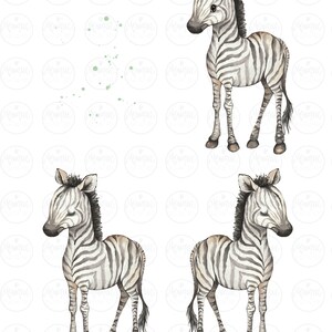K&ouml;nnte beinhalten: Vier Aquarell-Illustrationen eines Zebras mit schwarzen und wei&szlig;en Streifen. Das Zebra steht auf allen vieren mit gesenktem Kopf. Der Hintergrund ist wei&szlig;.