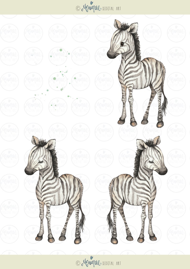 K&ouml;nnte beinhalten: Vier Aquarell-Illustrationen eines Zebras mit schwarzen und wei&szlig;en Streifen. Das Zebra steht auf allen vieren mit gesenktem Kopf. Der Hintergrund ist wei&szlig;.