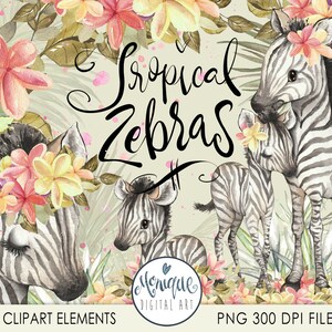 K&ouml;nnte beinhalten: Aquarell-Illustration von drei Zebras mit tropischen Blumen. Die Zebras sind schwarz-wei&szlig; mit einem gestreiften Muster. Die Blumen sind rosa, gelb und wei&szlig;. Der Text "Tropical Zebras" ist in Kursivschrift geschrieben.