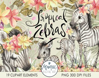 Può includere: Illustrazione ad acquerello di tre zebre con fiori tropicali. Le zebre sono nere e bianche con un motivo a strisce. I fiori sono rosa, gialli e bianchi. Il testo "Tropical Zebras" è scritto in corsivo.